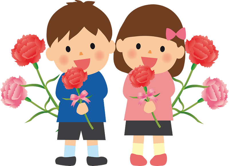 Carnation flower