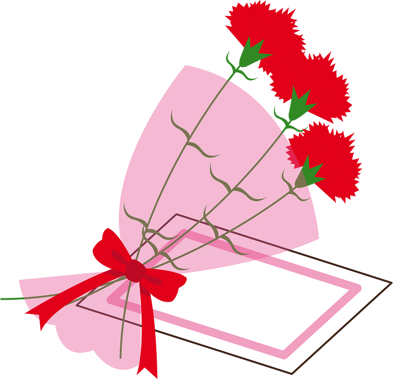 Carnation flower