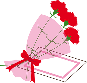 Carnation flower
