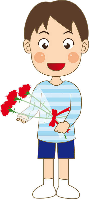 Carnation flower