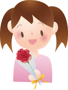 Carnation flower