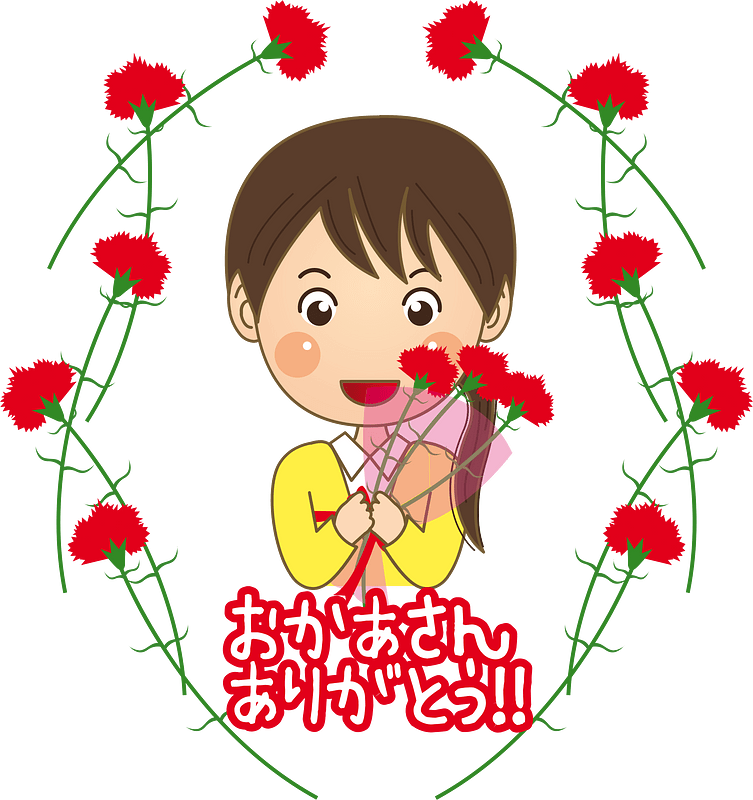 Carnation flower
