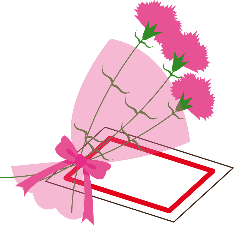 Carnation flower