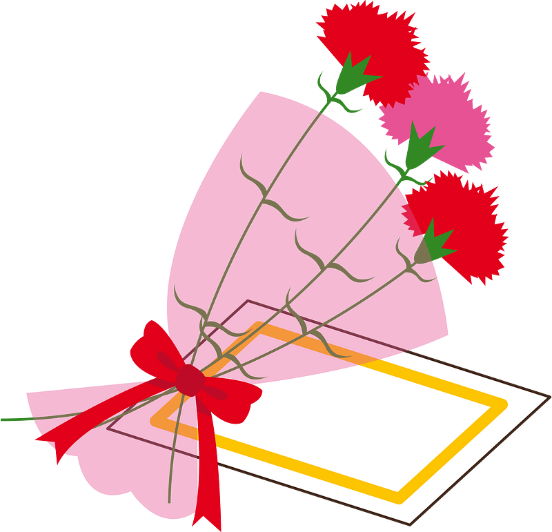 Carnation flower