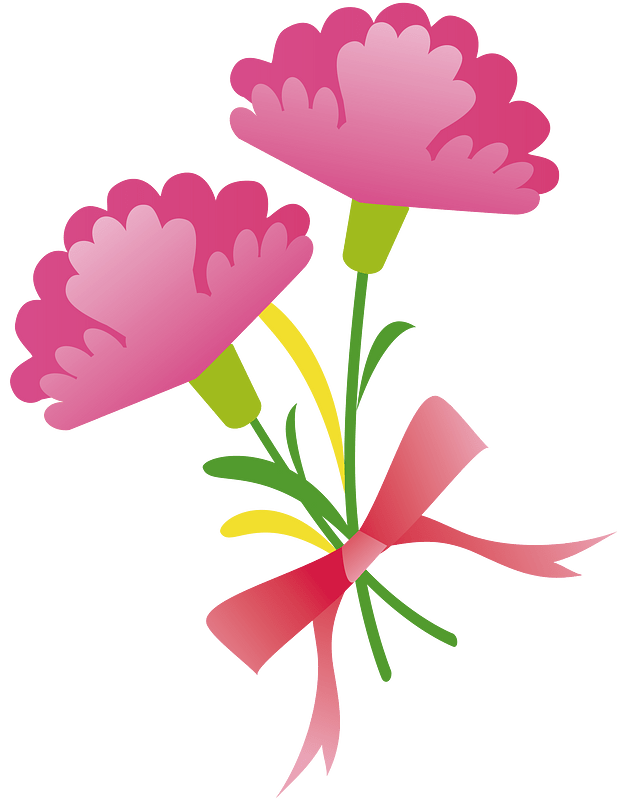 Carnation flower
