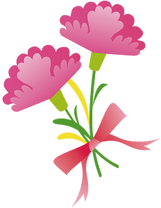 Carnation flower