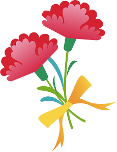Carnation flower