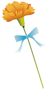 Carnation flower