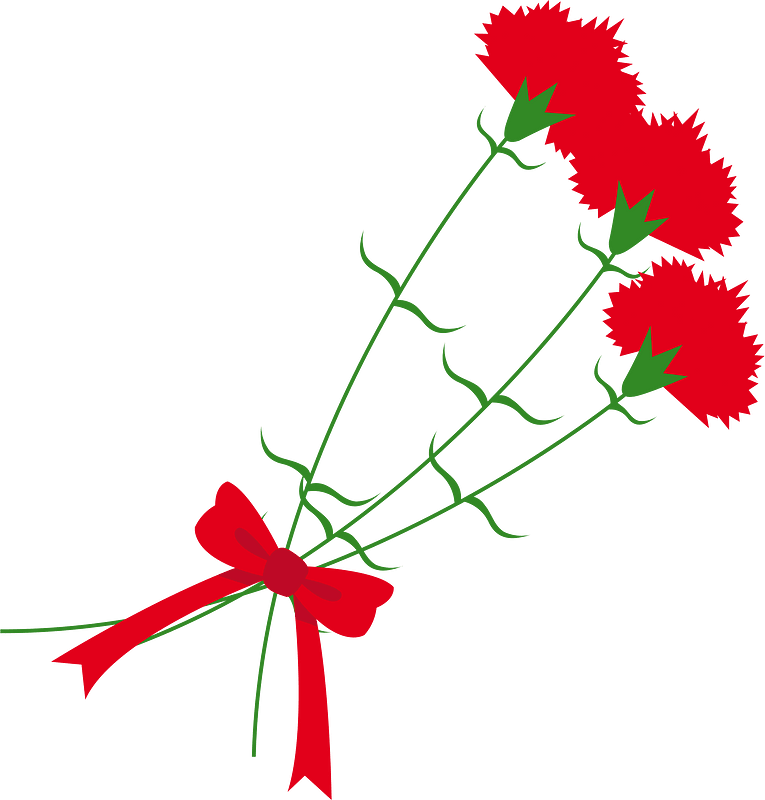 Carnation flower