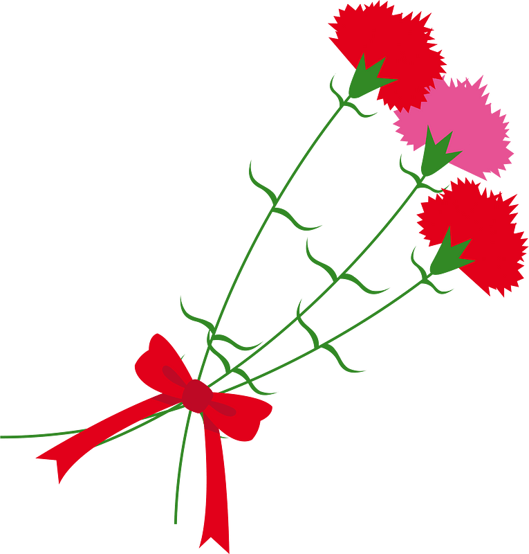 Carnation flower