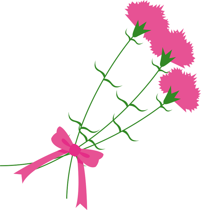 Carnation flower