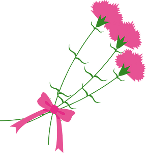 Carnation flower