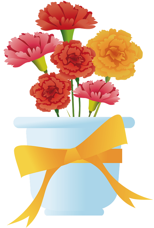 Carnation flower