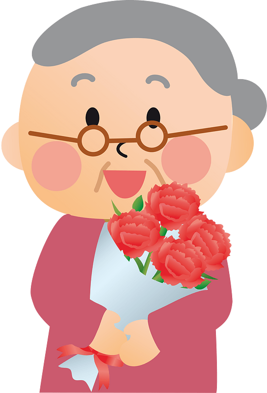 Carnation flower