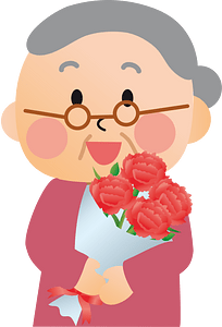 Carnation flower