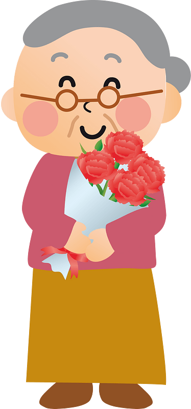 Carnation flower