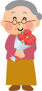 Carnation flower