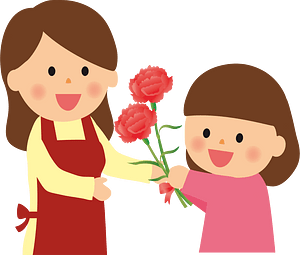 Carnation flower