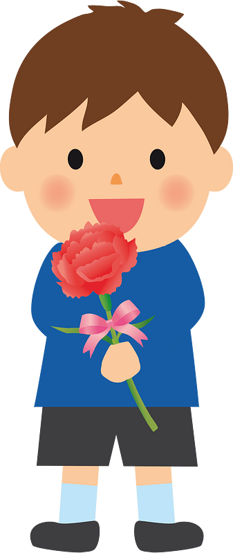 Carnation flower