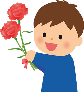 Carnation flower