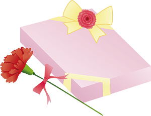 Carnation gift