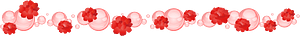 Carnation line