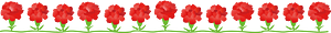 Carnation line