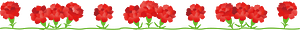 Carnation line
