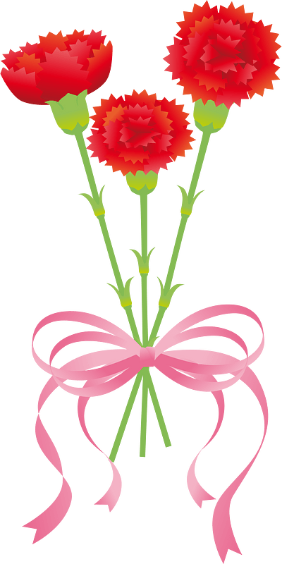 Carnation