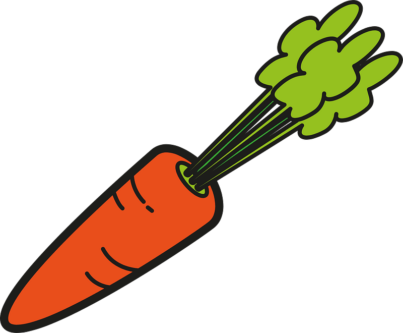 Carrot vegetable