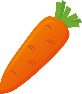 Carrot vegetable