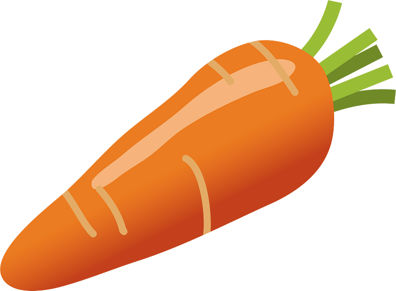 Carrot vegetable