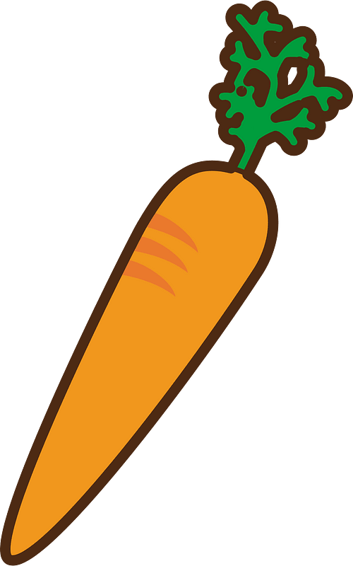 Carrot vegetable