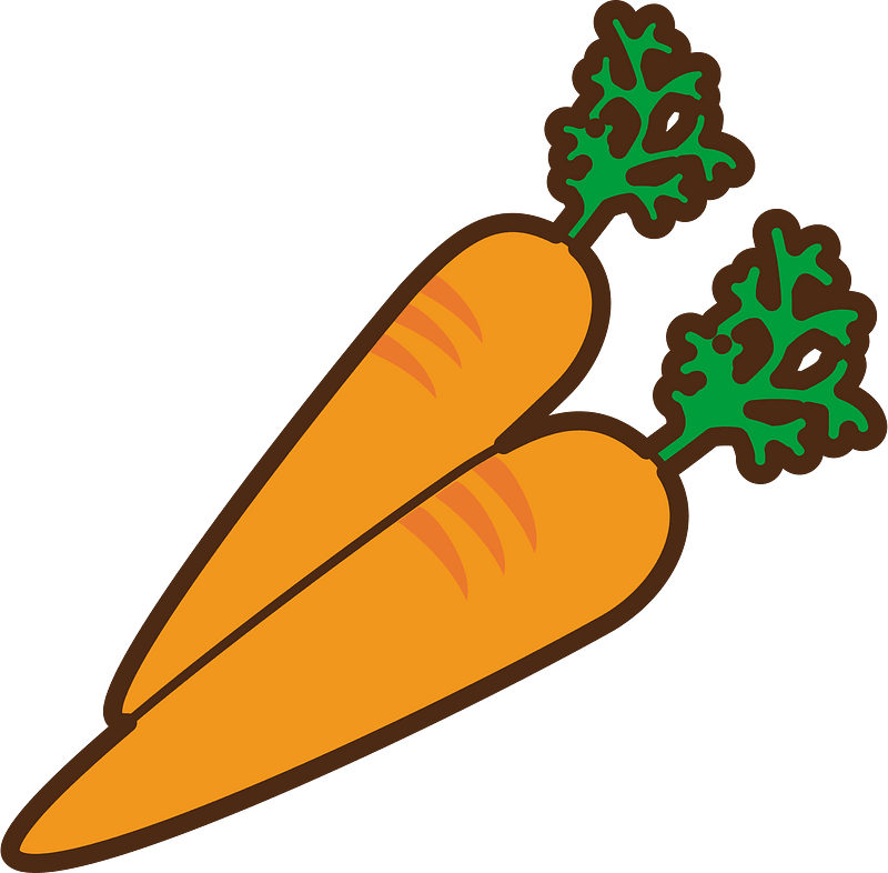 Carrot vegetable