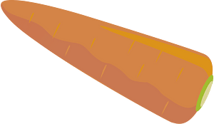 Carrot