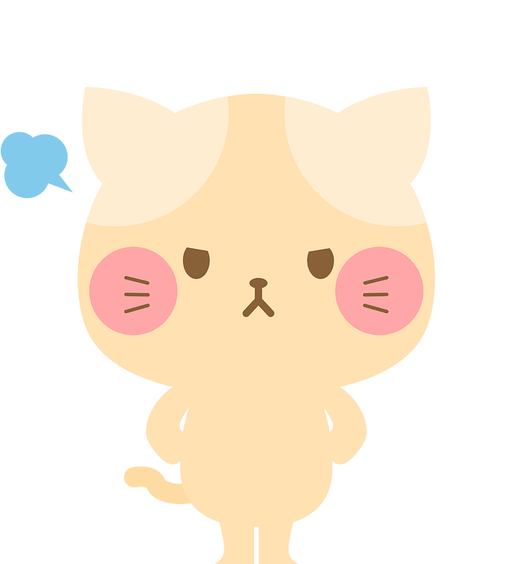 Cat animal