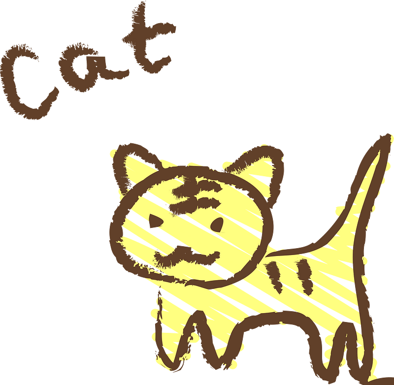 Cat sketch