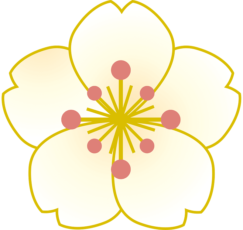 Cherry blossom