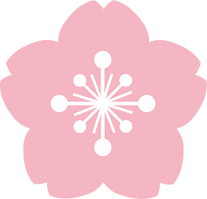 Cherry blossom
