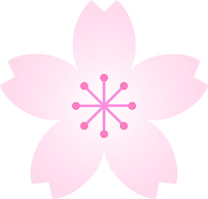 Cherry blossom