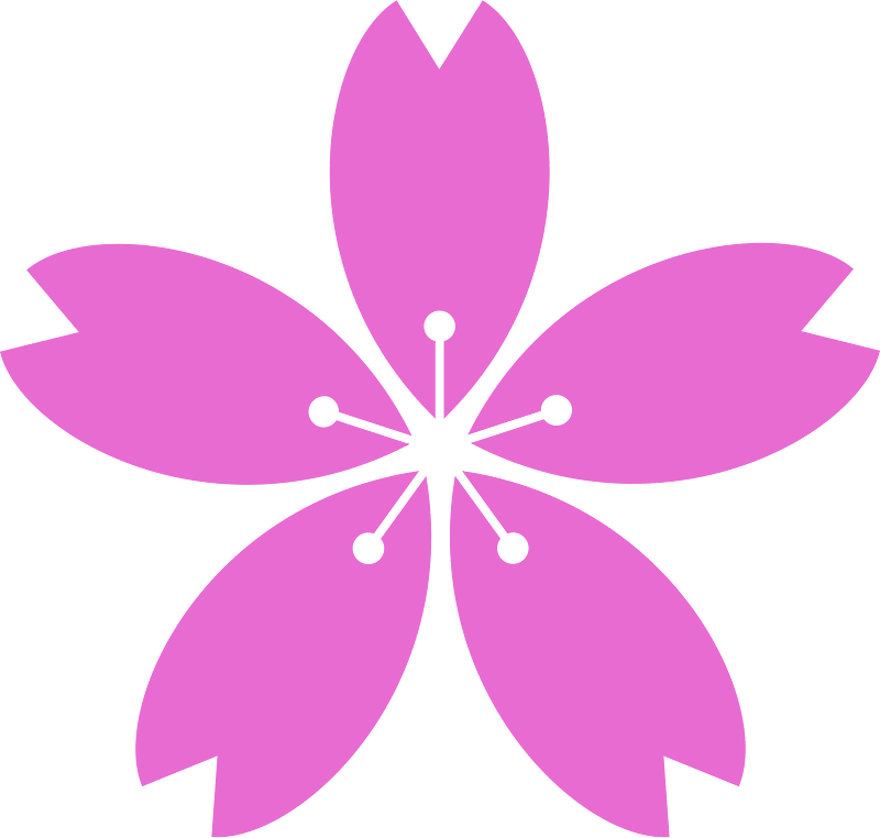 Kirsebærblomst