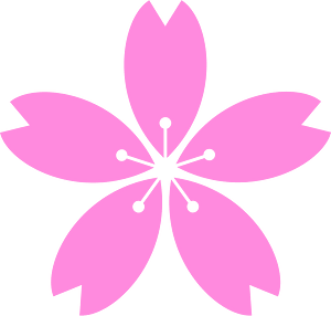 Cherry blossom