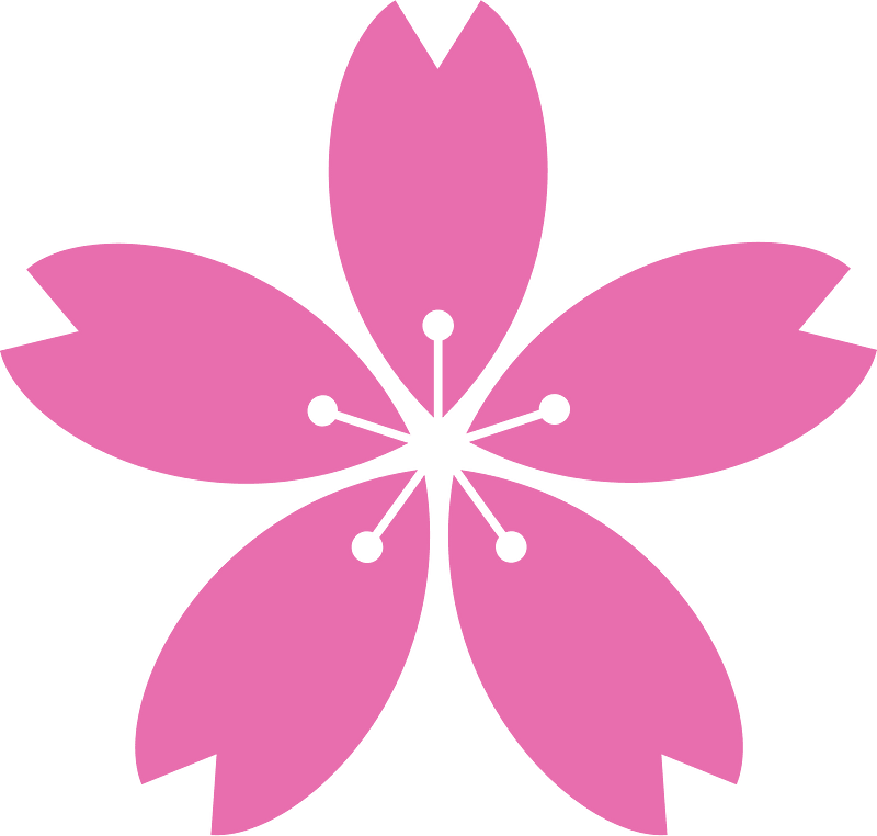 Cherry blossom