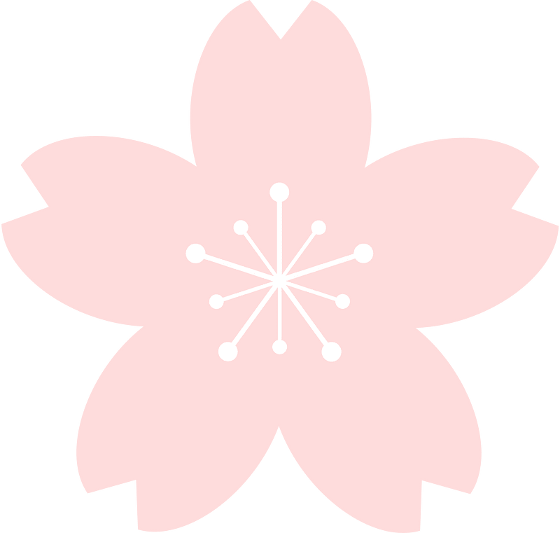 Kirsebærblomst
