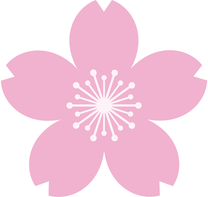 Cherry blossom