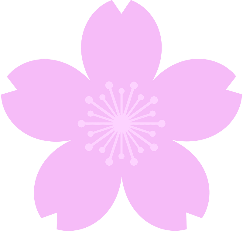 Fiore di ciliegio