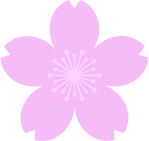 Cherry blossom