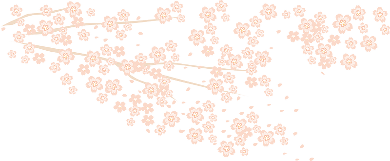 Cherry blossoms decoration