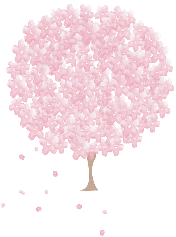 Cherry blossoms decoration