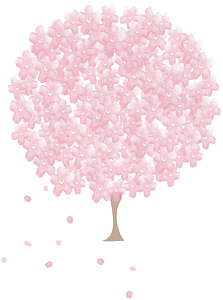 Cherry blossoms decoration